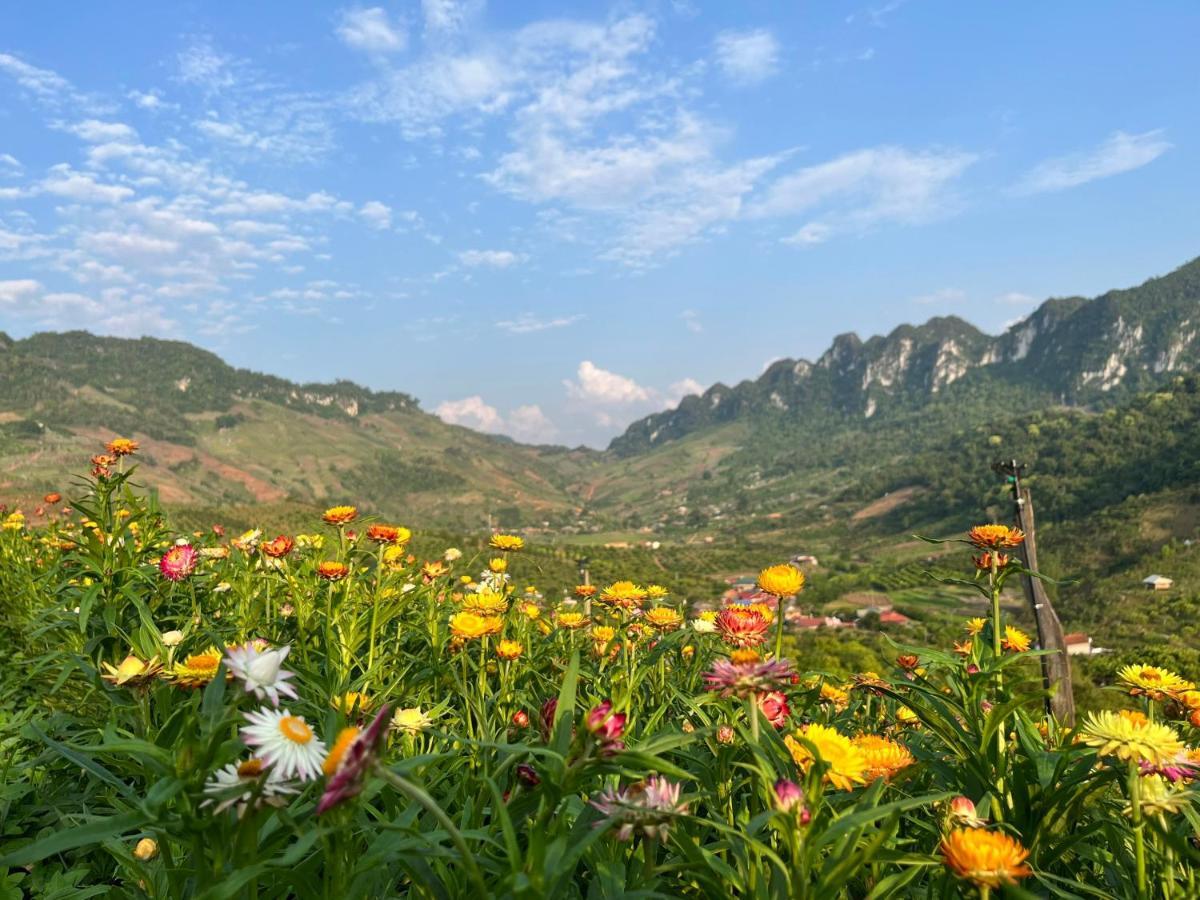 Mường sang Retreat Mộc Châu Hotel Ngoại thất bức ảnh